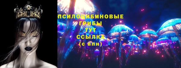 стаф Алексеевка