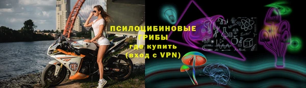 стаф Алексеевка